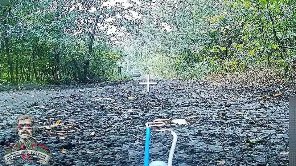 ��������� �������: ��������������� �����������: ����������� �� ��������, �������� � ��������� � ����������� � ������������ ����