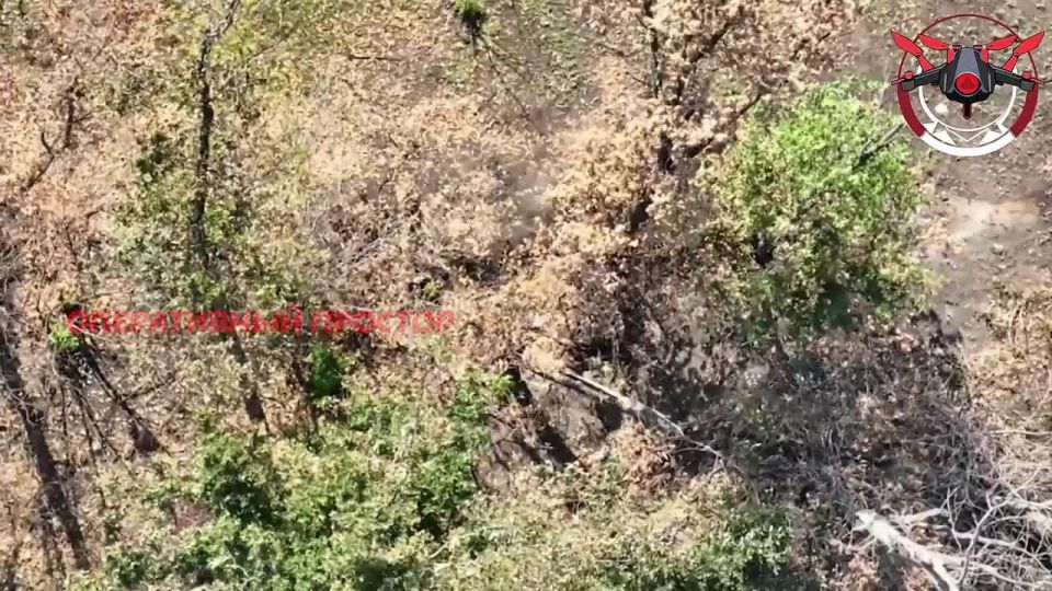 Работа FPV-дронов по очередной контратакующей бронегруппе 3-го армейского корпуса ВСУ в районе населенных пунктов Редкодуб, Карповка, Среднее и Шандриголово на Лиманском направлении