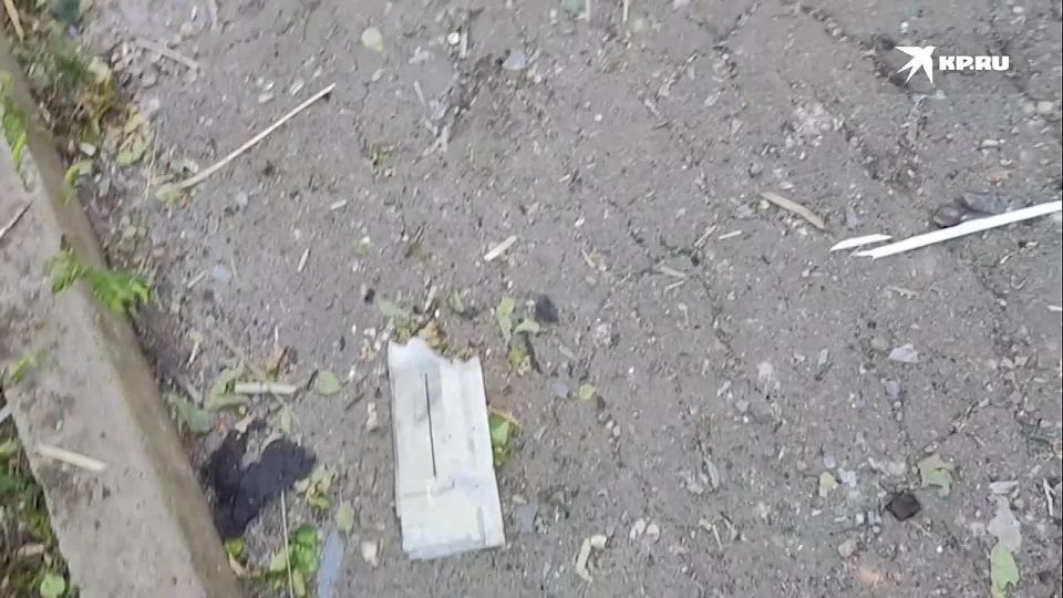 � ��������� ����������� ����������� ������� ������������ ���