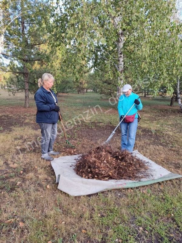 Приближаются наши любимые праздники — День города и День шахтёра! Сотрудники Дирекции парков трудятся не покладая рук, чтобы сделать торжества незабываемыми и приятными