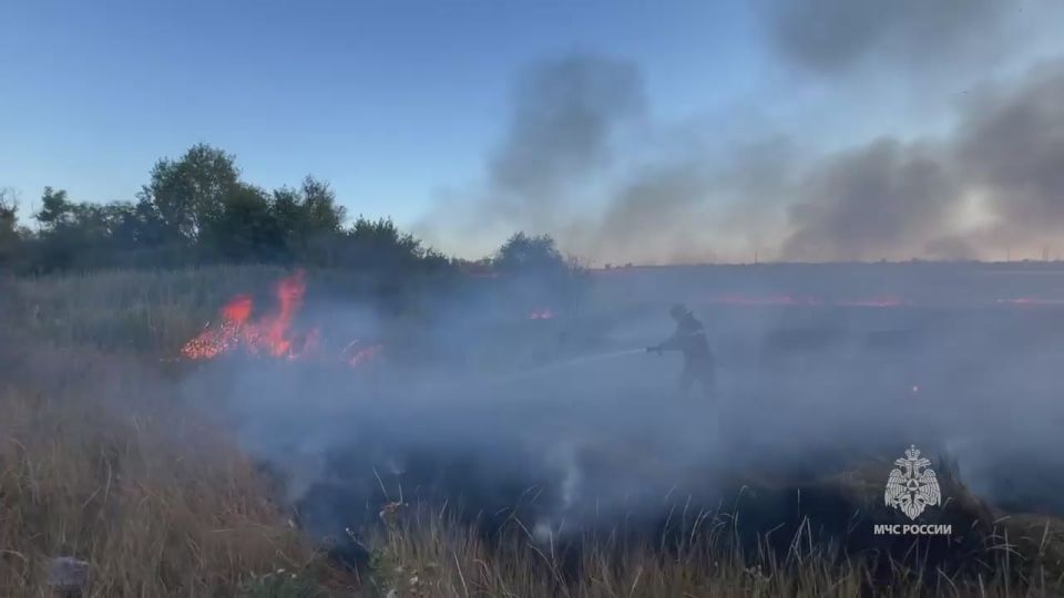 В Амвросиевке сотрудники МЧС России ликвидировали горение сухостоя