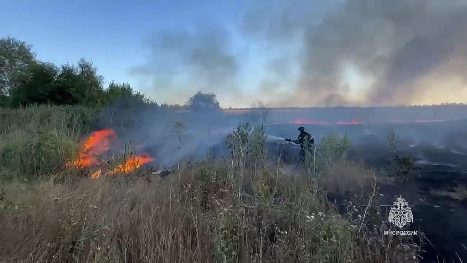 В Амвросиевке сотрудники МЧС России ликвидировали горение сухостоя