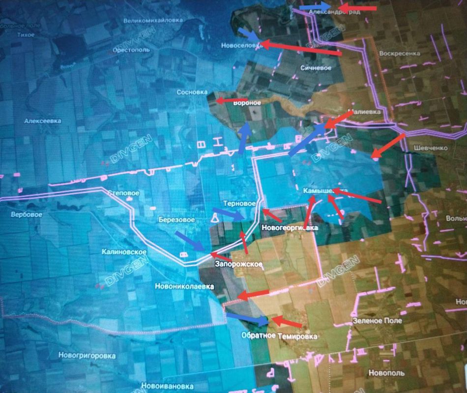 ���� �������: ����������� (����-��������) �����������