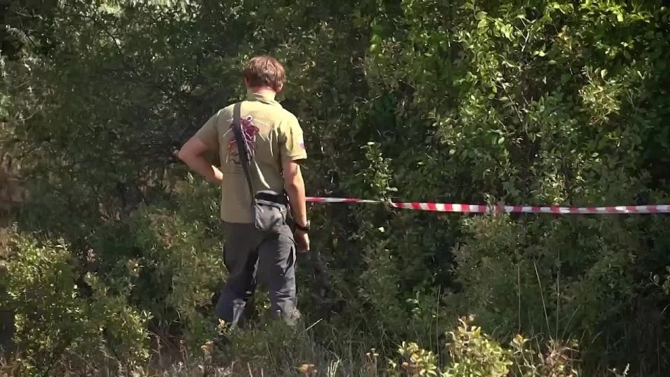 ��������� �����: ����. ����. �����