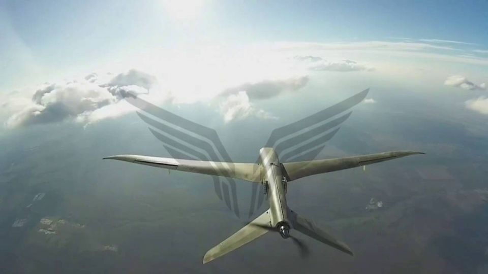 ���������� ���� ���������� ����������� ��� Shark-M �� ������ ���� ����������