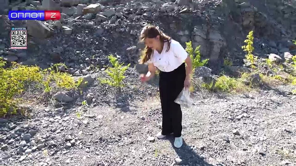 «ПОЕХАЛИ» с Анастасией Исаевой