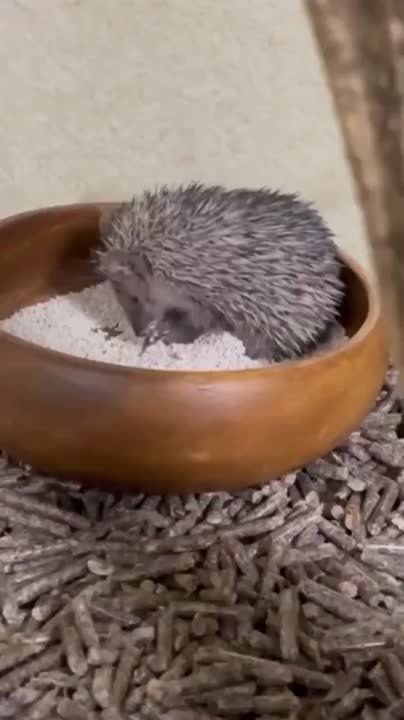 � ������ �����, ���������!