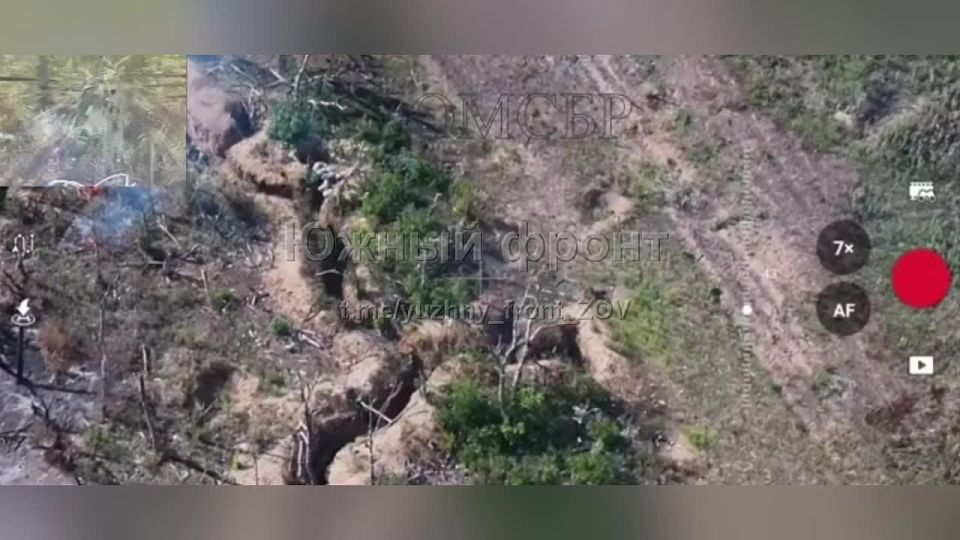 ��������� �������: ��������� "�����" ����������� �������� �������� ���� ��� �������������