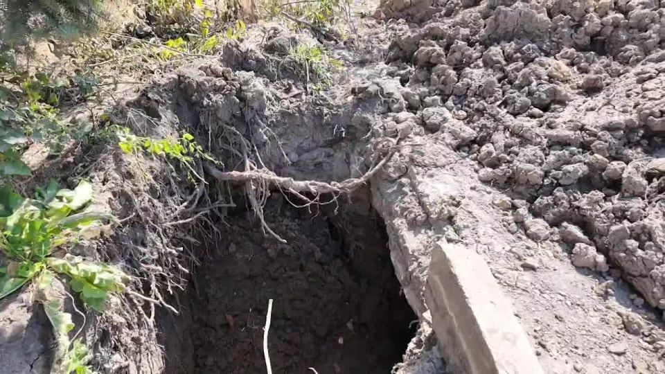 Алексей Дорофеев: Работа кипит даже в праздник!