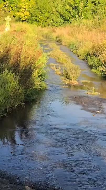 � �������� ���������� �������� � ������� �� ������ �������� � ������ �����