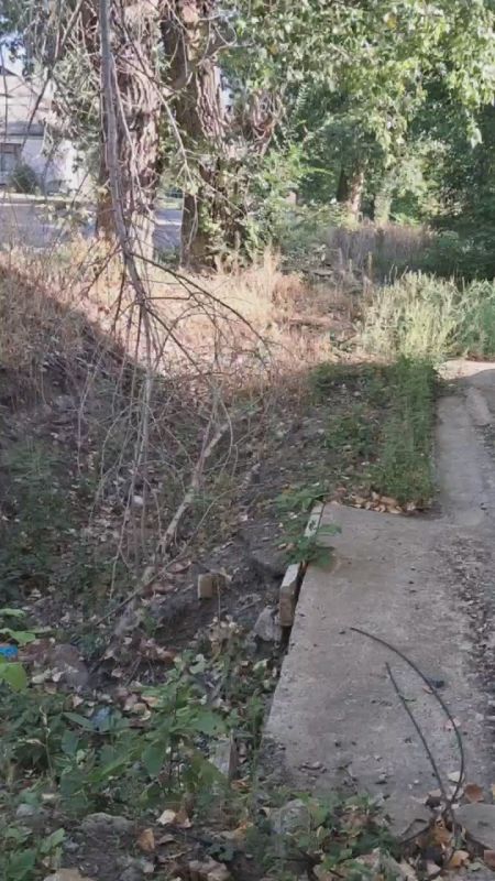 Депутаты Народного Совета: ежедневная борьба за воду