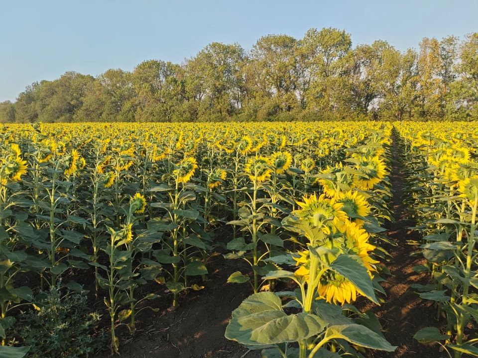 �������� �������� ���� ������������ �� ���������� ������ � �������� ������