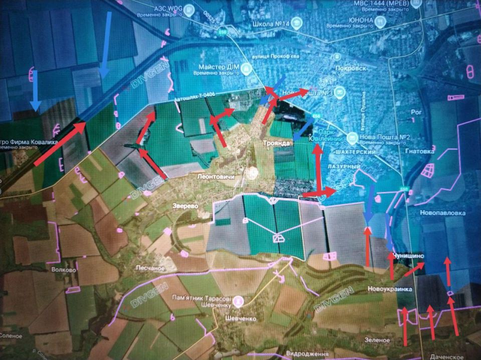 ���� �������: ���������� (���������������) �����������