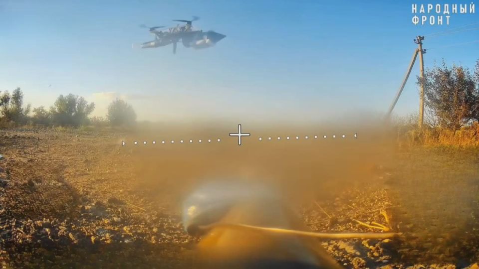 ������ �������: ����-�������� �����������. ������ �� ������� ���������� ��������