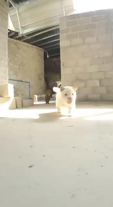 ������ ��������: �������� ������� ����� ��������� ����������
