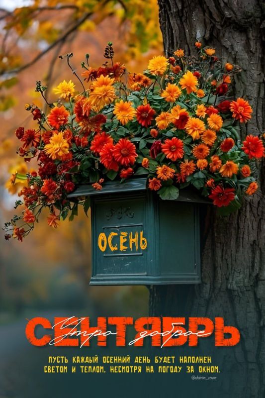 #доброе_утро