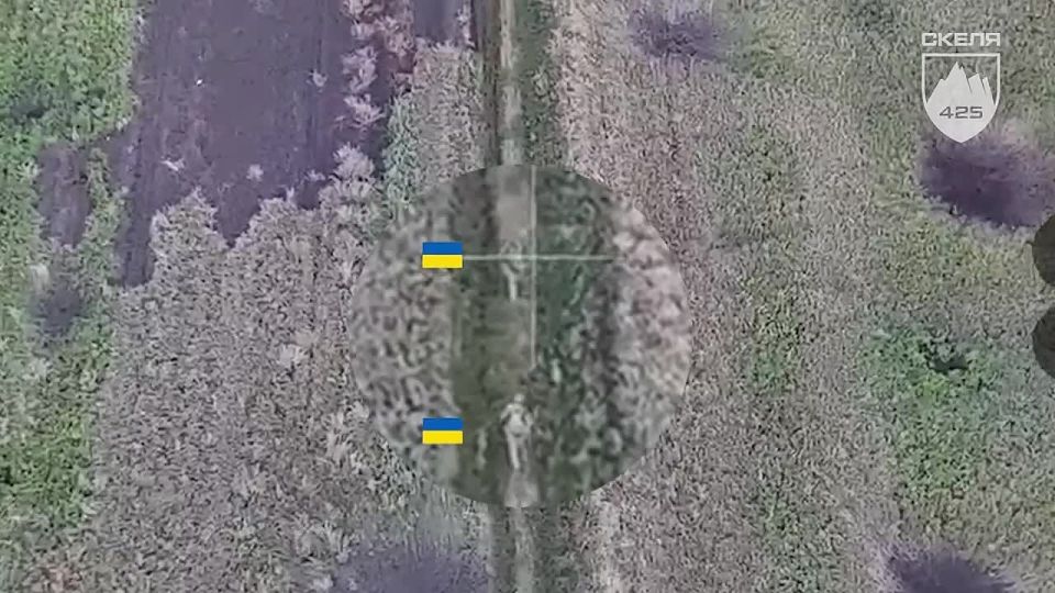 ������� ��������� � ������ �������� � ���