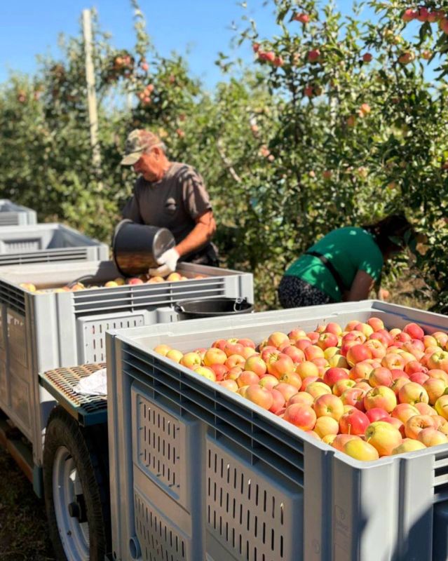 � ���������������� �������� ����, ���������� ������ ������ ��� ����������� ����������, ������� ���� ������