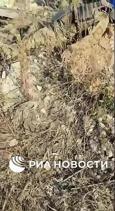���������� ����� ���������� 17 ������������� "�����"* � ��� ����������� ������������ ��� � ������ ���������� � ���, �������� ��� ������� � ������� ����������