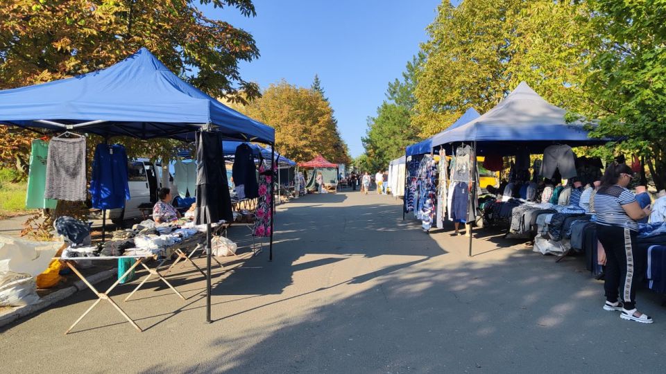 ������� ��������: � ������� ����������� ������ �������� �������