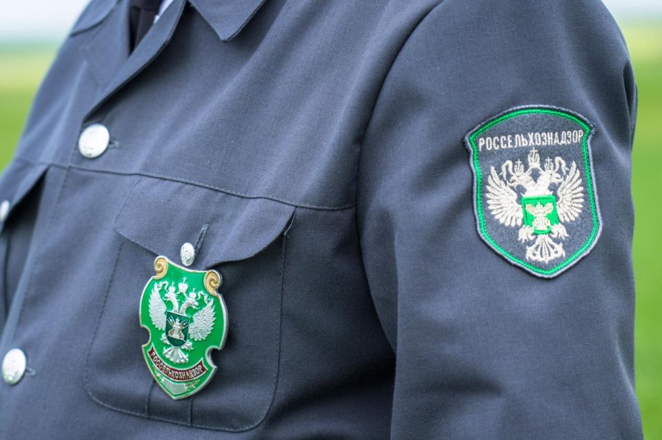 Под контролем Россельхознадзора из ДНР экспортировано более 36 тысяч тонн зерна