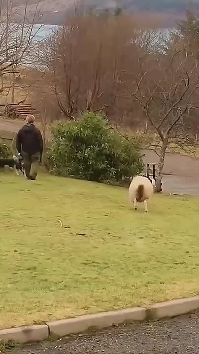 ���� ��������� � ���������-��������� �� ������!