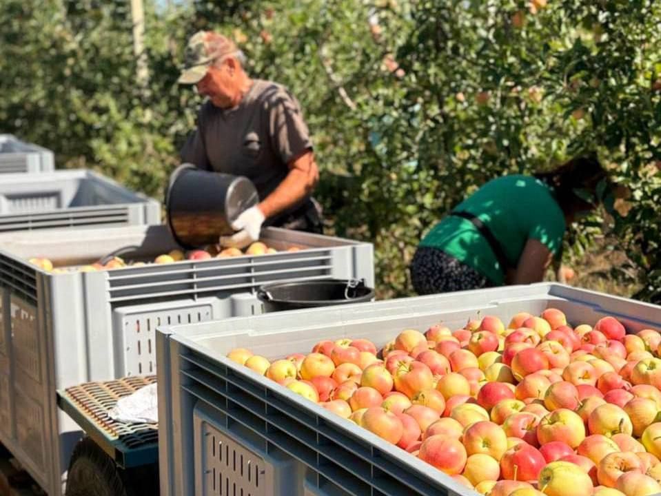 ������� ���� ������ � ��������� ����, ���������� ����������� ����������