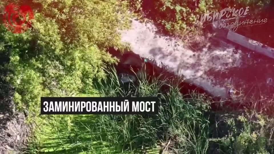 ���������� ��������� ���������� ����������� ����������� ������������� ����� ��� � ������ ���������/��������������, �������� ��-����� ��������