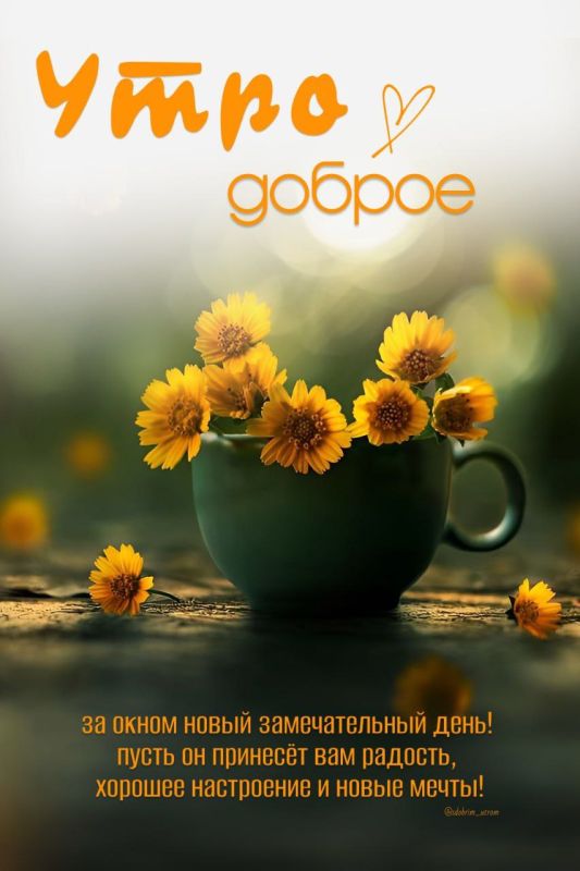 #доброе_утро