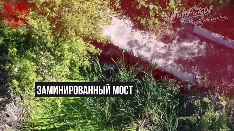 ���������� ��������� ���������� ����������� ����������� ������������� ����� ��� � ������ ���������/��������������