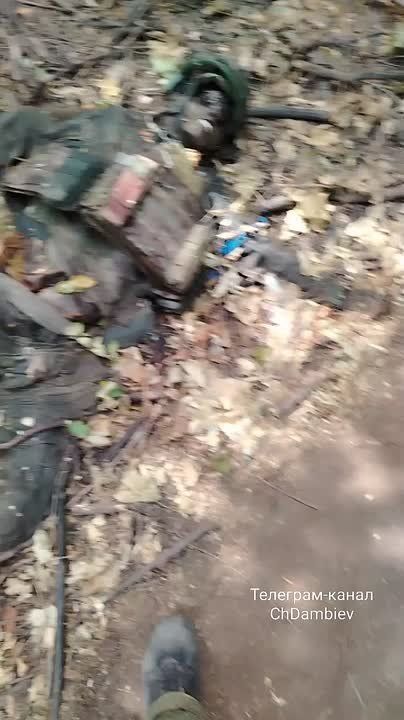 ������ �������: ������������ ������ �������� ���������� ������������ "��������" � ���������� �� ����-�������� �����������