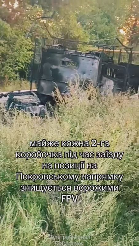 ������ �������: ����� ��������, ��� 50 ��������� �� ������� ������������ �������� ����������� �� ���������� �����������