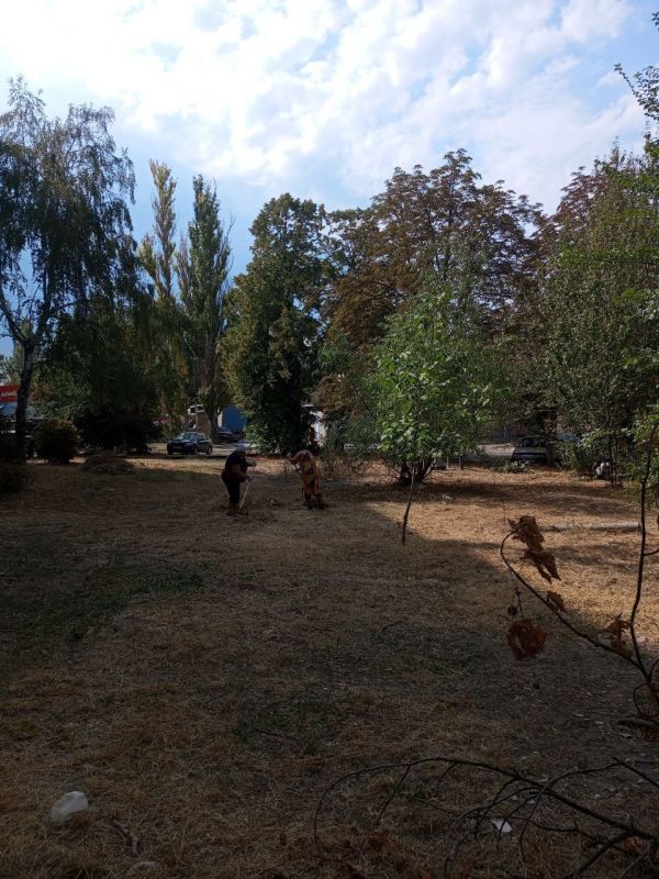 Амвросиевский округ преображается: МБУ "Благоустройство" проводит масштабные работы по благоустройству территорий