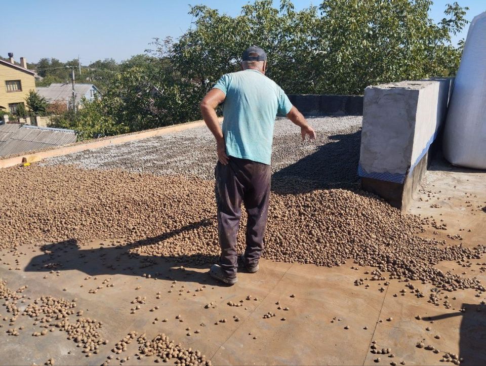 ����� �����: ��� ��������� ������������� ������� ��������� ����� �������� ���� � 17 � ���������