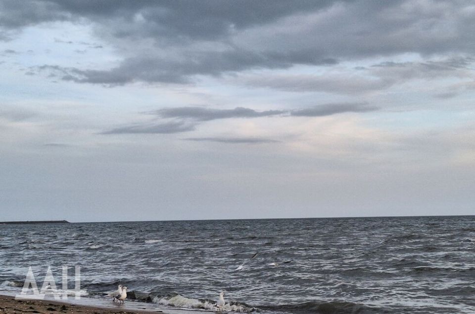 Дикое время в истории Донбасса. Как Россия прорывалась к берегам Азовского моря