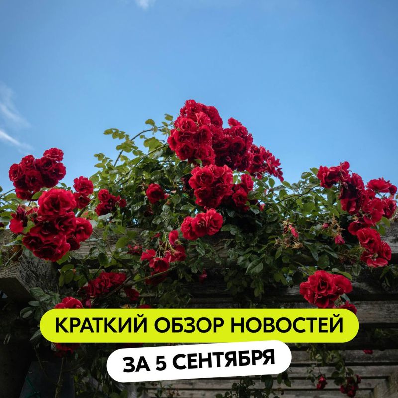 �� �����, ��� ������ �������� ������� �������� ���?