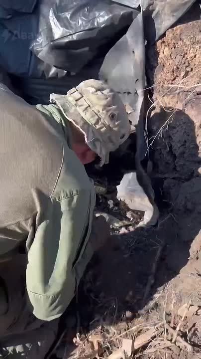 ���������� ������ ������ ������������� �������