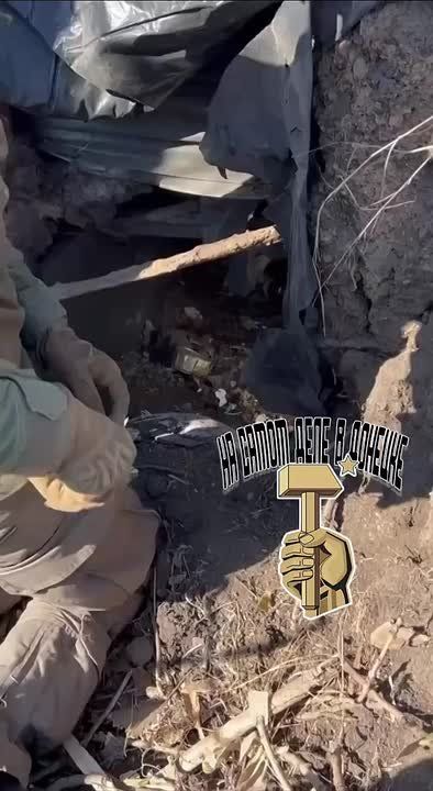 ������ ����, ������� ��������!