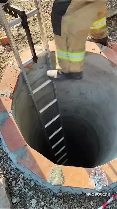 �������� �� �������. ���� ����� � ������� �������� �������� ��� �� ��������� ���� � ������� ����������