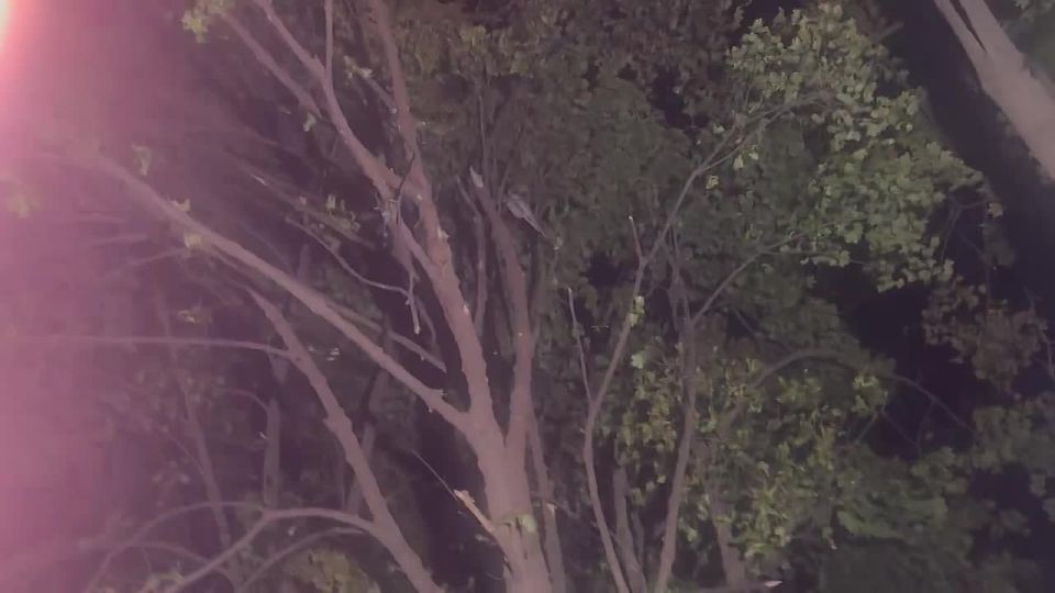 WarGonzo: ���� ���� ��� � � ����� ������� ������ �������, � ��� ����� ����