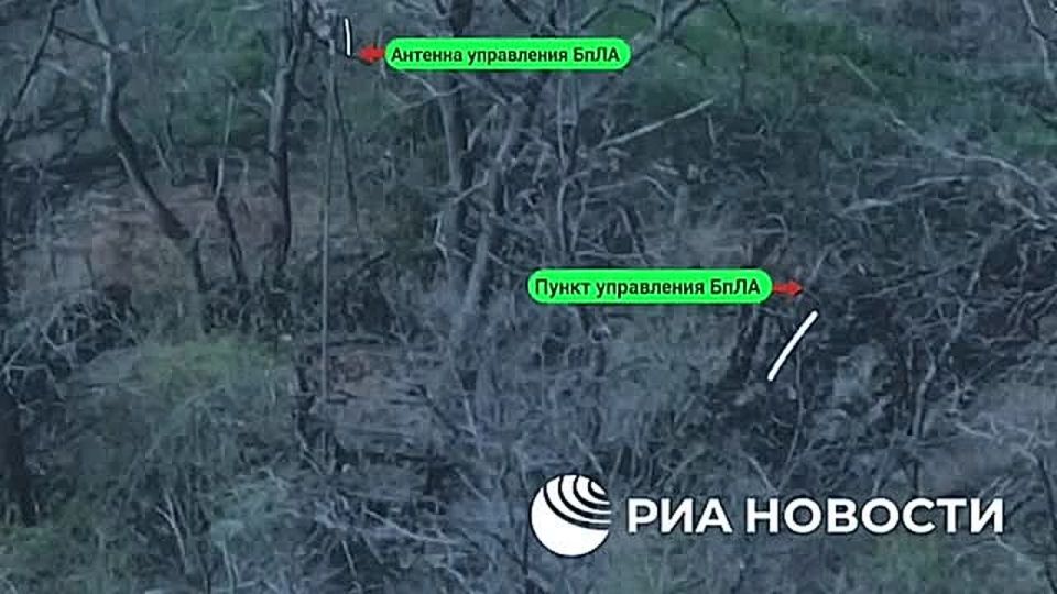 ������������� "�����" ����������� ���������� ����� �������� ����� ���������� ������������ ������������ ���������� ��� � ������ �������� � ���, �������� � ���������� ������