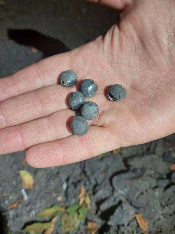 ������ �������: �������� ���� ��� �� ����� �������� � ������ ������� � �������� � ����������� ����������