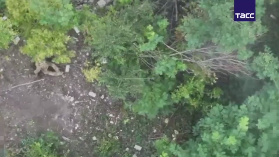 ����� ����� ����������� ���������� ������ � ������� ��� � ������ ���� �������� � ���