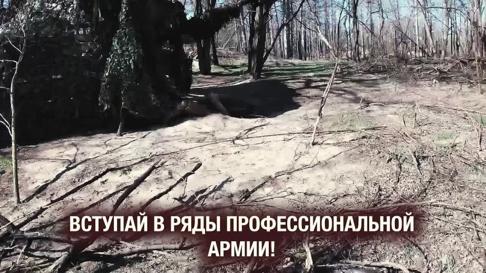 #�������������������. ����������� �� ����� �����������������.�� � �� �������� 117 @PRO_respubliku