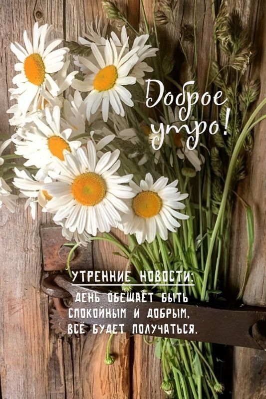 #доброе_утро