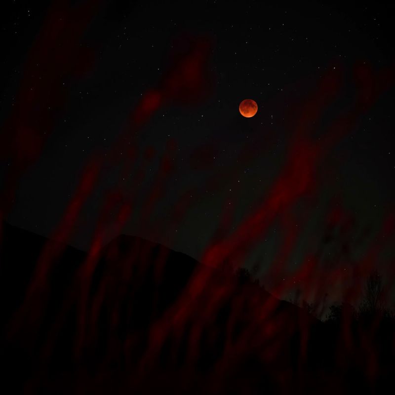 ���� ������ ��� �� ����������� ������� � ������� �������� ����������� �� ������� ���������� ����� "�������� �����" ������