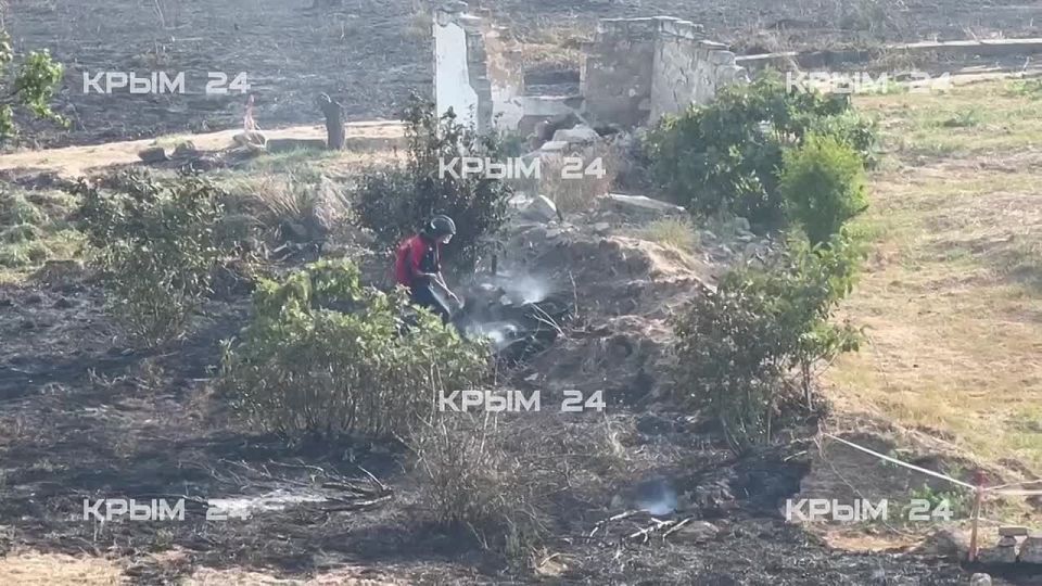 Показываем последствия пожара возле Керчи