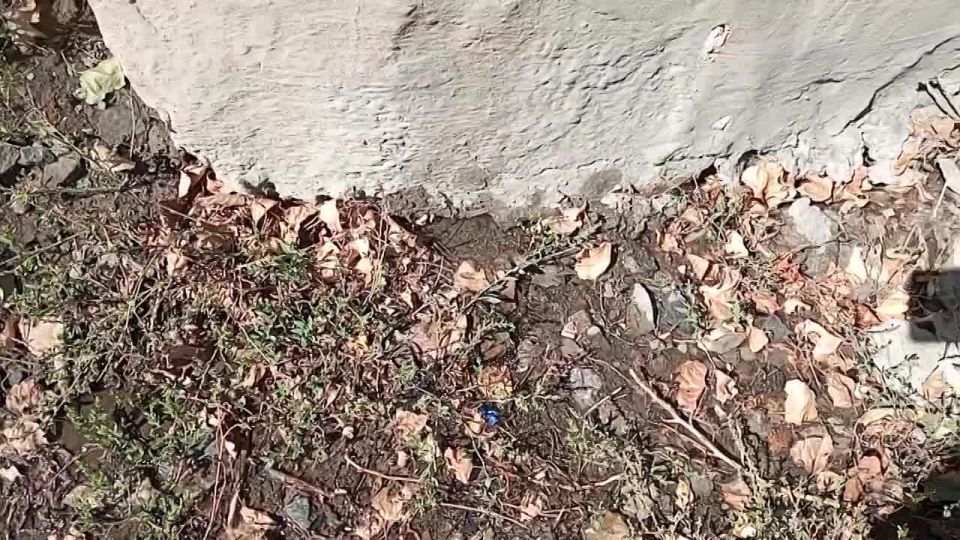 Депутаты Народного Совета: ежедневная борьба за воду