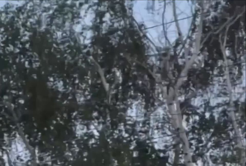 Помимо дронов противник применил для удара по Донецку и крылатые ракеты типа Storm Shadow