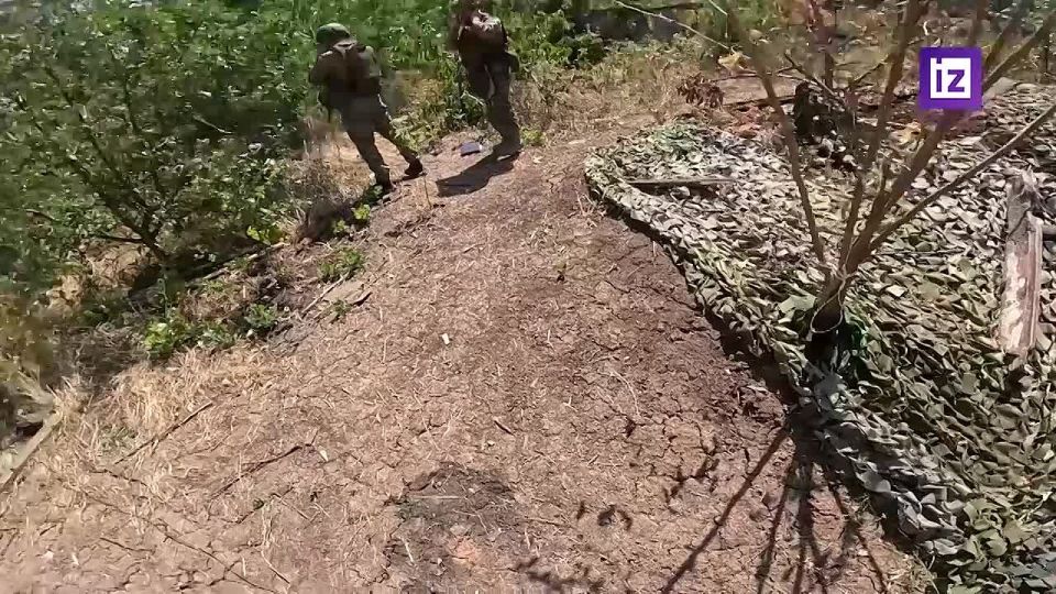 Расчёты 152-мм гаубиц Д-20 из Ивановского гвардейского воздушно-десантного соединения нанесли удар по скоплению пехоты ВСУ западнее Часова Яра в ДНР